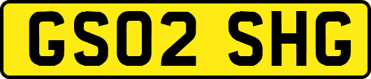 GS02SHG