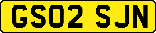 GS02SJN