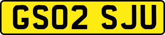 GS02SJU