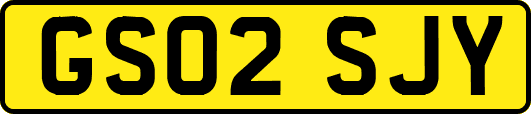 GS02SJY