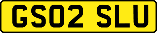 GS02SLU