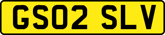 GS02SLV