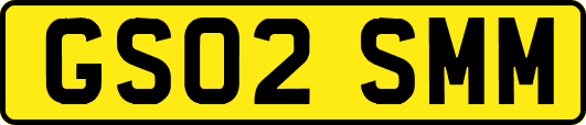 GS02SMM
