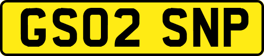 GS02SNP