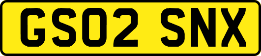 GS02SNX