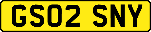GS02SNY