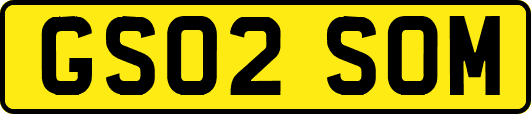 GS02SOM