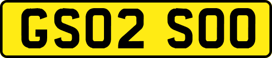 GS02SOO