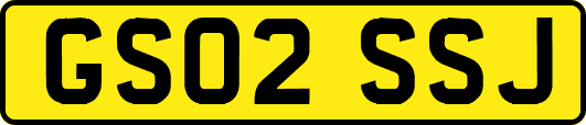 GS02SSJ
