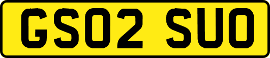 GS02SUO
