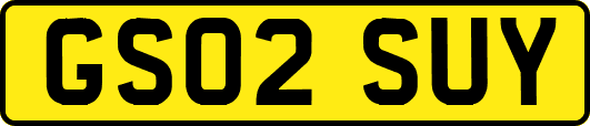 GS02SUY