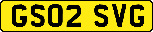 GS02SVG