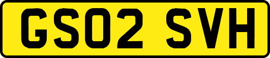 GS02SVH