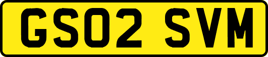 GS02SVM