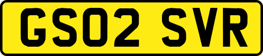 GS02SVR