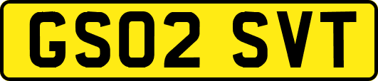 GS02SVT