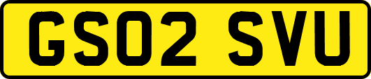GS02SVU