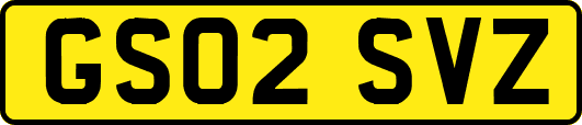 GS02SVZ