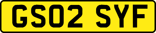 GS02SYF