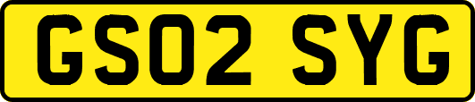 GS02SYG