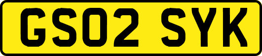 GS02SYK