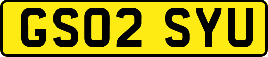 GS02SYU