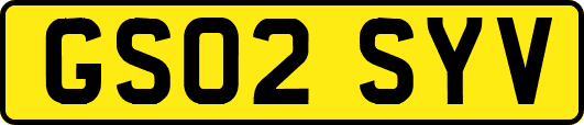 GS02SYV