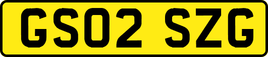 GS02SZG