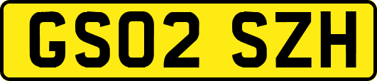 GS02SZH