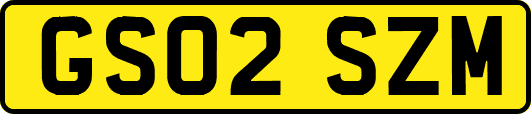 GS02SZM