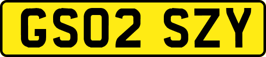 GS02SZY