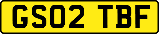 GS02TBF