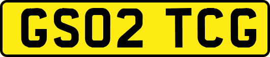 GS02TCG