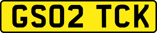 GS02TCK