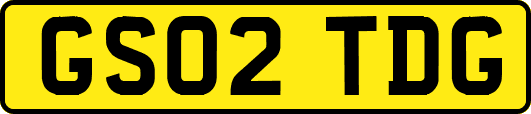 GS02TDG