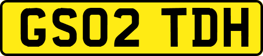 GS02TDH
