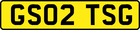 GS02TSG