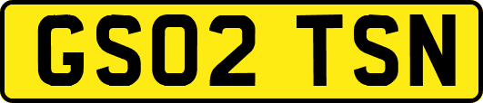 GS02TSN