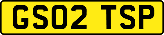 GS02TSP