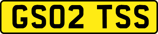 GS02TSS