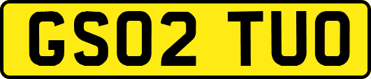 GS02TUO
