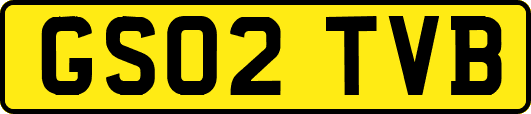 GS02TVB