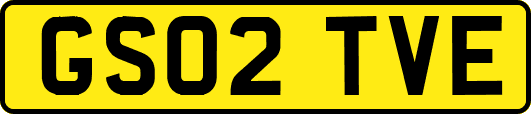 GS02TVE