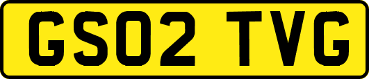 GS02TVG