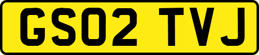 GS02TVJ