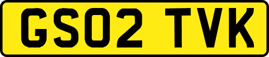 GS02TVK
