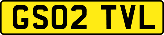 GS02TVL