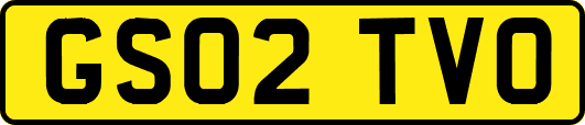 GS02TVO