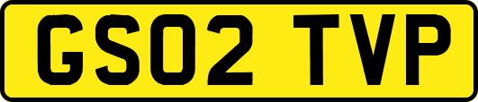 GS02TVP