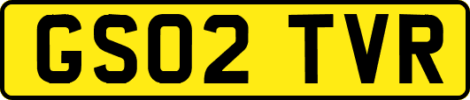 GS02TVR